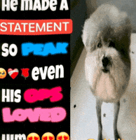 Dog Statement GIF