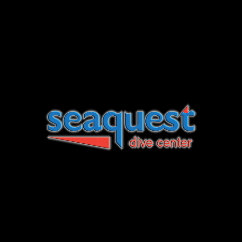Seaquest ocean sea philippines diving GIF