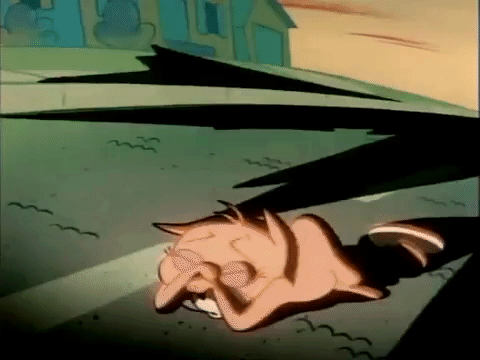 ren and stimpy nicksplat GIF