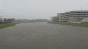 Stay Safe Oh My God GIF by DIIMSA Stock