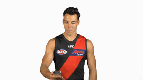 essendonfc giphyupload dons bombers essendon GIF