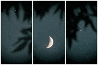 Digital Media Landscape GIF by Robert Matejcek