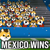 World Cup Football GIF by Dogelon Mars