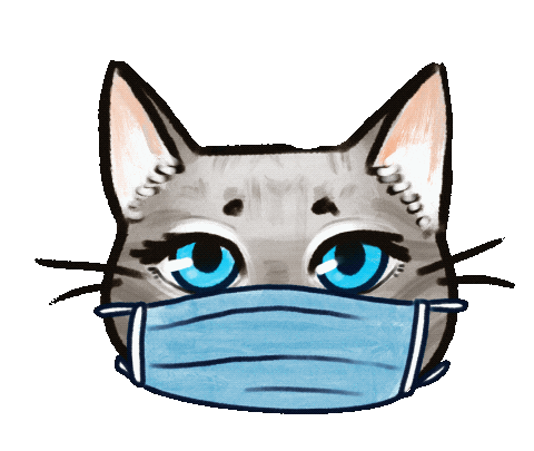 thecatterycatshelter giphyupload cat cats kitty Sticker