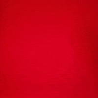 Taylah Thomas GIF by Texas Tech Women's Basketball