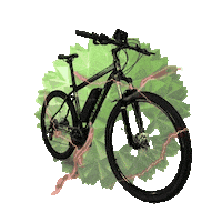 Tecbike ebike tecbike bicicletaeletrica bikelitio Sticker