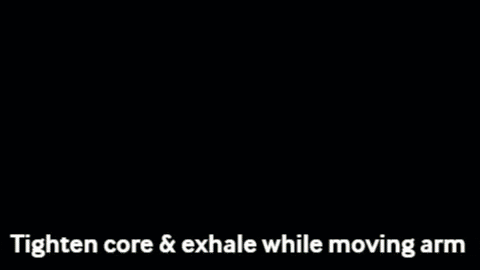 Drbetseypt giphygifmaker exercise pregnancy pregnancyexercise GIF