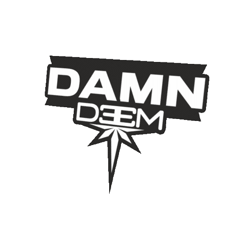 deemflywear damn skydiving daaamn indoorskydiving Sticker