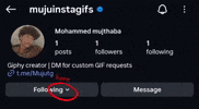 Instagram Profile GIF