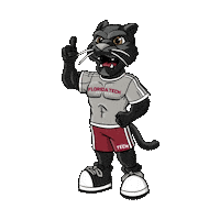 FloridaTechPanthers tech florida panthers pete Sticker