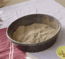 happy safari park GIF by San Diego Zoo