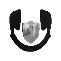 New York Loop Sticker by Nova Sound