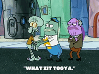 season 5 GIF by SpongeBob SquarePants