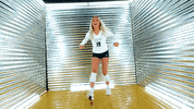 Toledo Volleyball GIF by Toledo Rockets