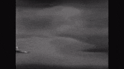 Creature Feature Monster Movies GIF