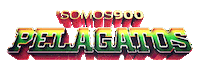 Festival Reggae Sticker by PelaGatos