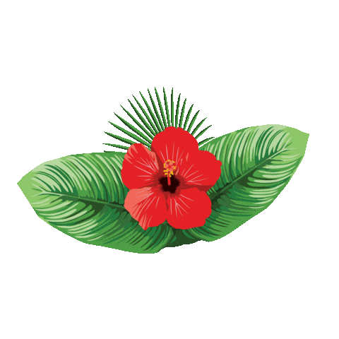 Amapola Sticker by VoyTuristeando