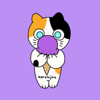 Calico Cat Icecream GIF