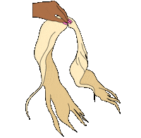 Hair Wig Sticker by 1900BADDEST