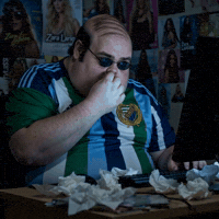 Dif Djurgårdens If GIF by Erik