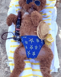 Sunbathing Fourth Of July GIF by Respective