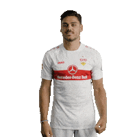 Football Sport Sticker by VfB Stuttgart