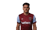 Premier League Dinos Sticker by West Ham United