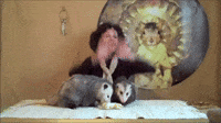 Best of Opossum Lady