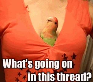 abandon thread GIF by Testing 1, 2, 3