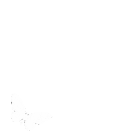 Minimalista Sticker