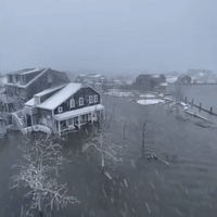 Streets Flooded and Trees Downed as Storm Slams Nantucket