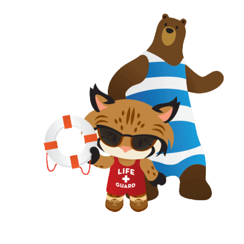 appexchange dance cat summer bear Sticker