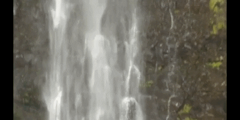 Earth Science Water GIF by DIIMSA Stock