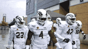 Csu Rams GIF by Colorado State Rams