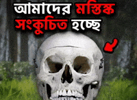 Brain Bangladeshi GIF