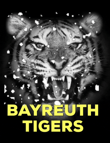 bayreuth_tigers eishockey bayreuth tigers tigerkäfig ehc bayreuth GIF