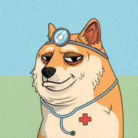 Shiba Inu Avatar GIF by Doge Pound