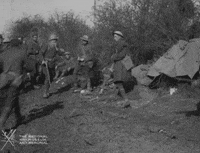 NationalWWIMuseum celebration news black and white excitement GIF