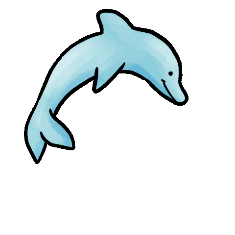 Dolphin Spinning Sticker