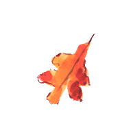 Evelynhenson Sticker