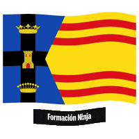 Flag Spain Sticker by Formación Ninja