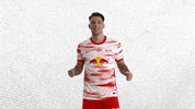 Champions League Yes GIF by RB Leipzig