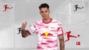 Happy Rb Leipzig GIF by Bundesliga