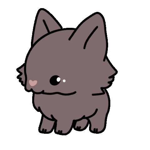Dog Schipperke Sticker