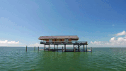 biscayne bay travel GIF