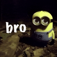 Bro Weirdo GIF