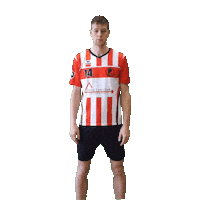 Lion Korfbal Sticker by Fortuna/Delta Logistiek