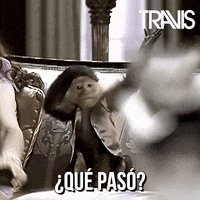 Spanish Reaction GIF by Travis