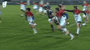 6 nations rugby GIF by Guinness Six Nations