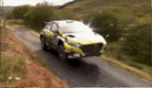 Too Fast Crash GIF by FIA European Rally Championship